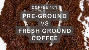 Perfecting Your Brew: Pre-Ground versus Fresh Ground Coffee