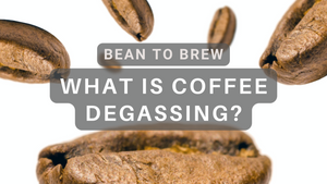 A Guide to Coffee Degassing and Freshness Preservation