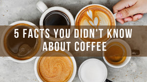 5 Facts About Coffee