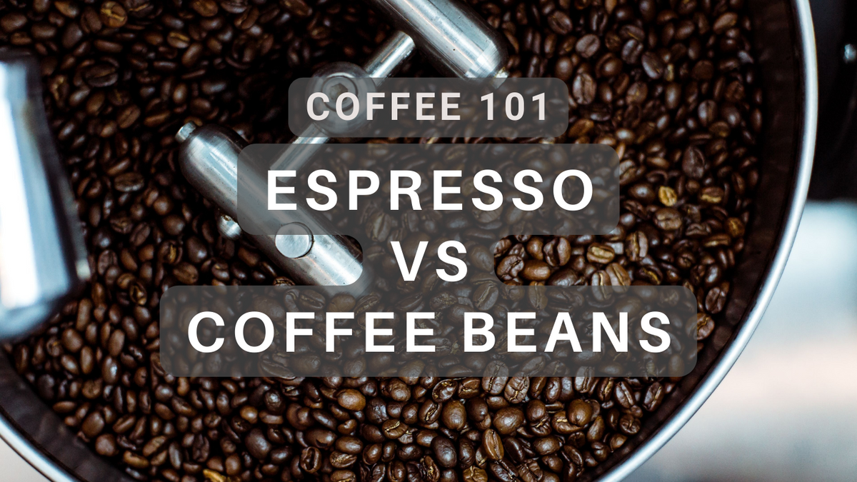 Espresso vs. Coffee Beans Differences and Tips for Freshness and Flav