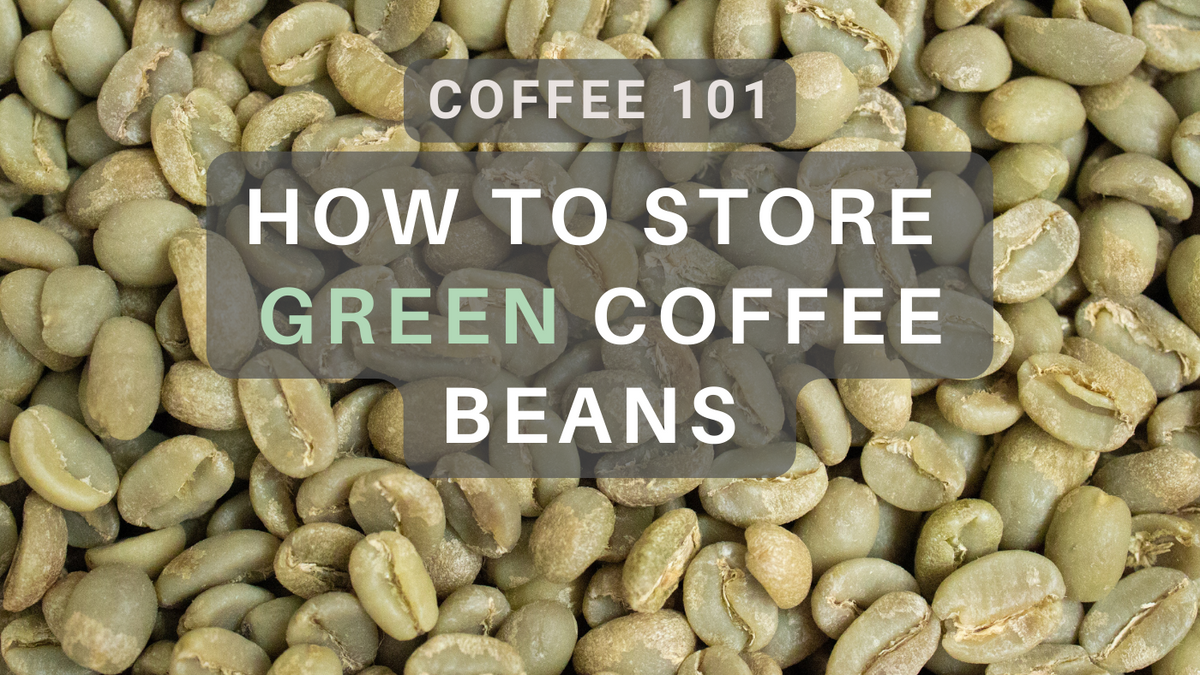 Green Coffee Beans A Guide to Storing for Ultimate Freshness TIGHTVAC