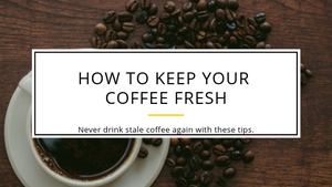 How to Store Coffee (Ground or Whole Beans): 7 Smart Tips