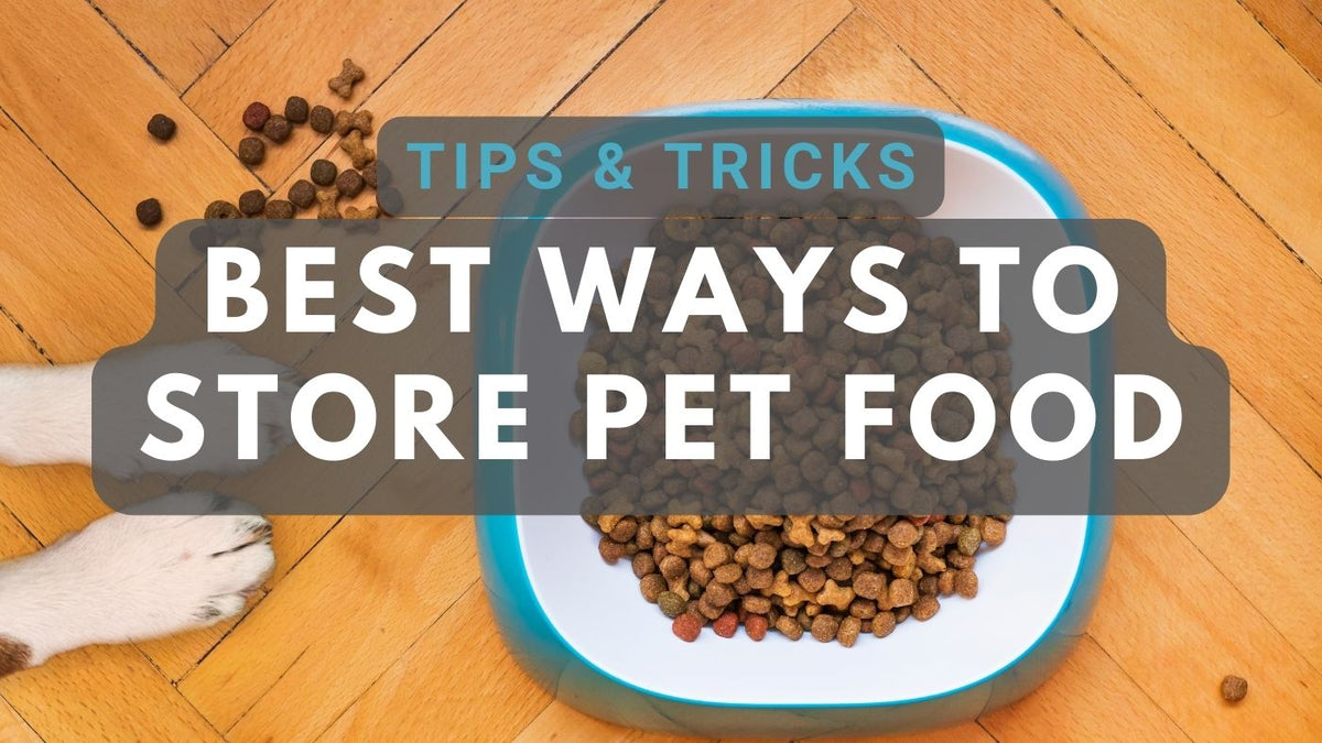 Best Ways to Store Dry Pet Food for Cats and Dogs 8 Tips to Try TIGHTVAC