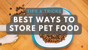 Best Ways to Store Dry Pet Food for Cats and Dogs: 8 Tips to Try