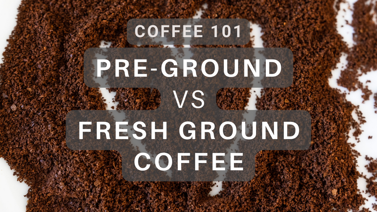 Perfecting Your Brew PreGround versus Fresh Ground Coffee TIGHTVAC
