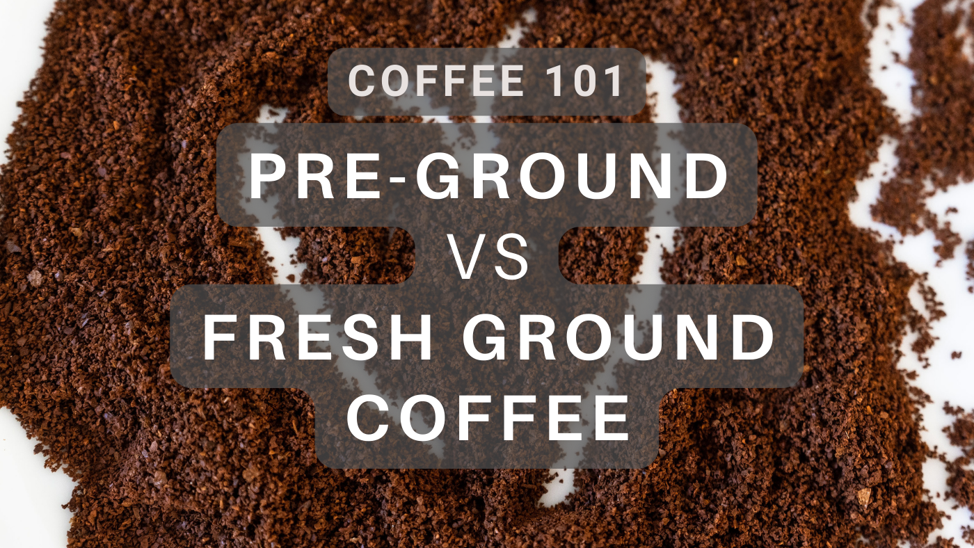 Coffee Grinder vs. Spice Grinder: Is There Any Real Difference? - Holar